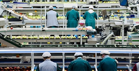 Временный персонал для производства